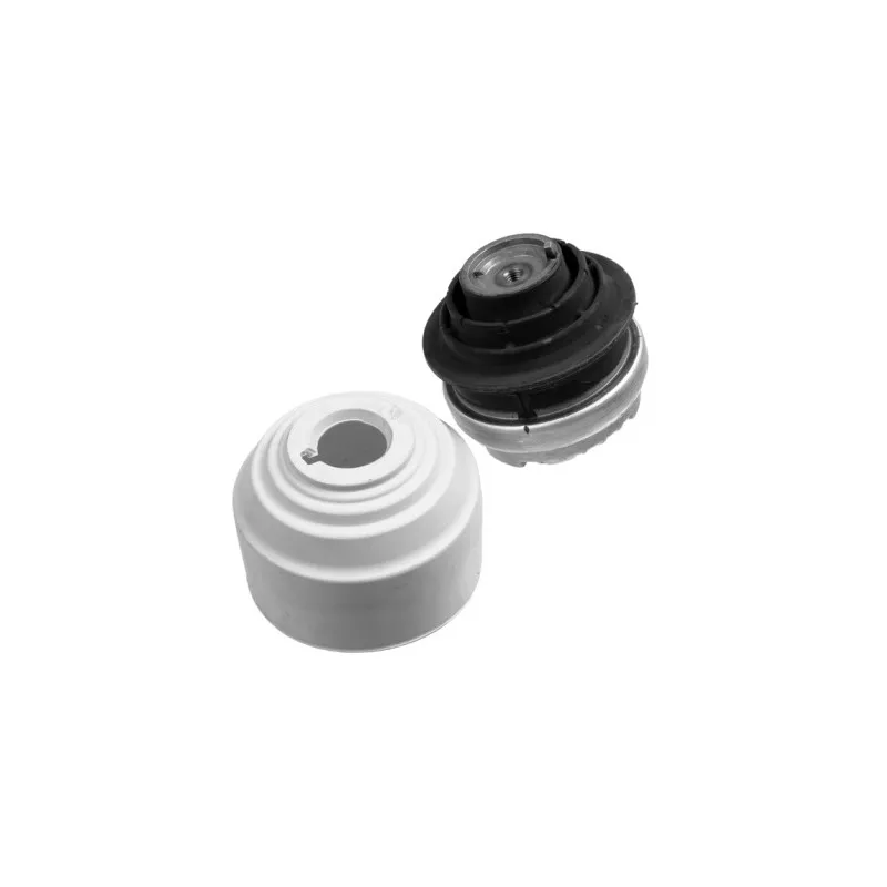 Support moteur LEMFORDER 26078 01
