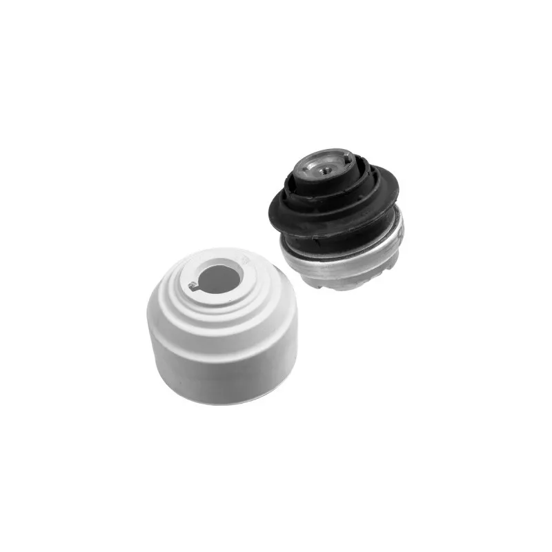 Support moteur LEMFORDER 26084 01