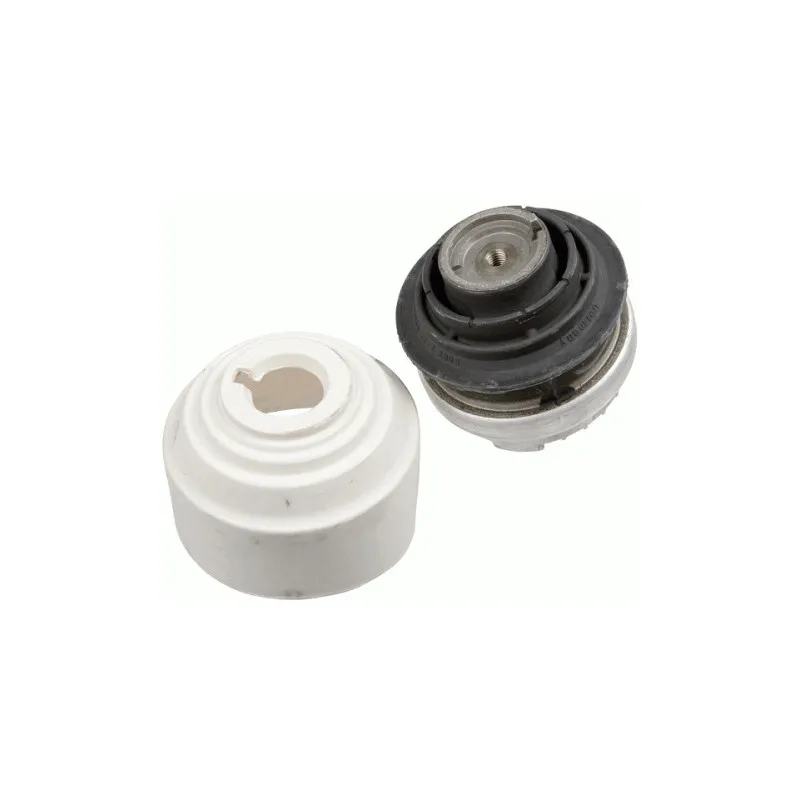 Support moteur LEMFORDER 29756 01