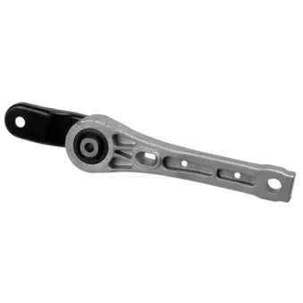 Support moteur LEMFORDER 35519 01