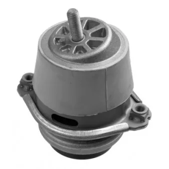 Support moteur LEMFORDER 35789 01