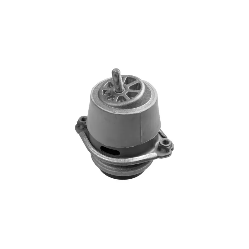 Support moteur LEMFORDER 35789 01