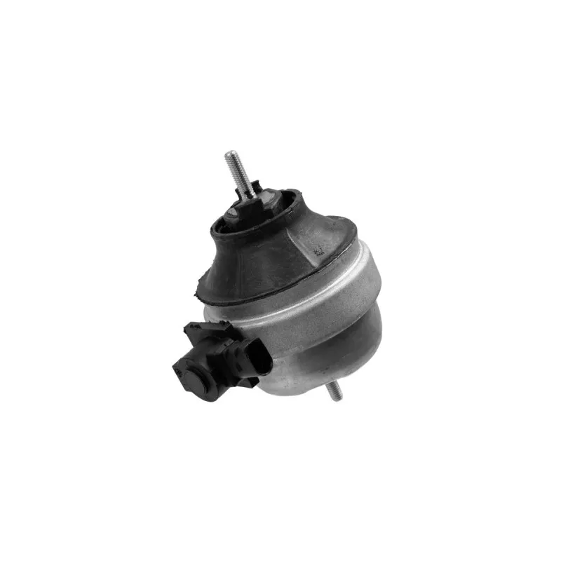 Support moteur LEMFORDER 36187 01