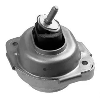 Support moteur LEMFORDER 36325 01