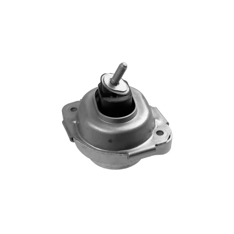 Support moteur LEMFORDER 36325 01