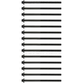 Jeu de boulons de culasse de cylindre VICTOR REINZ 14-12813-02