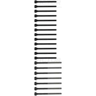 Jeu de boulons de culasse de cylindre VICTOR REINZ 14-32275-01