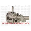 Pompe à eau METELLI 24-0161 - Visuel 1
