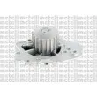 Pompe à eau METELLI 24-0393 - Visuel 1