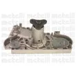 Pompe à eau METELLI 24-0439 - Visuel 1