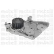 Pompe à eau METELLI 24-0783 - Visuel 1