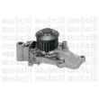 Pompe à eau METELLI 24-0799 - Visuel 1