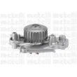 Pompe à eau METELLI 24-0896 - Visuel 1
