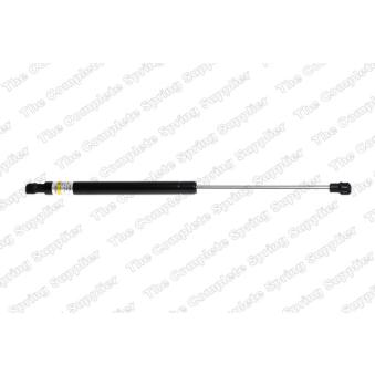 Vérin de hayon, de coffre LESJOFORS