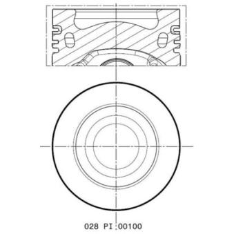 Piston MAHLE 028 PI 00100 000