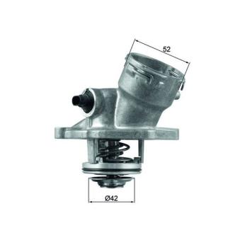 Thermostat d'eau MAHLE TM 45 100D