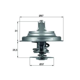 Thermostat d'eau MAHLE TX 25 87D