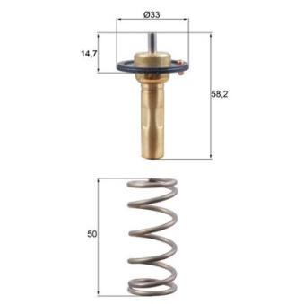 Thermostat d'eau MAHLE