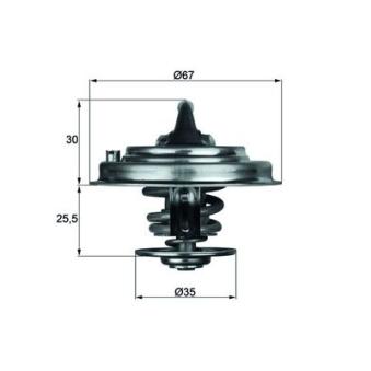 Thermostat d'eau MAHLE TX 30 71D