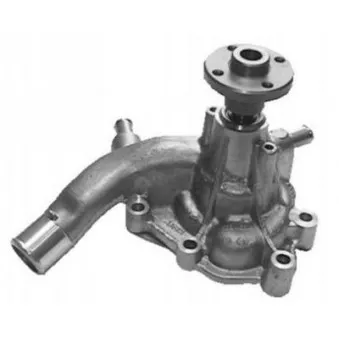Pompe à eau AISIN WPT-061
