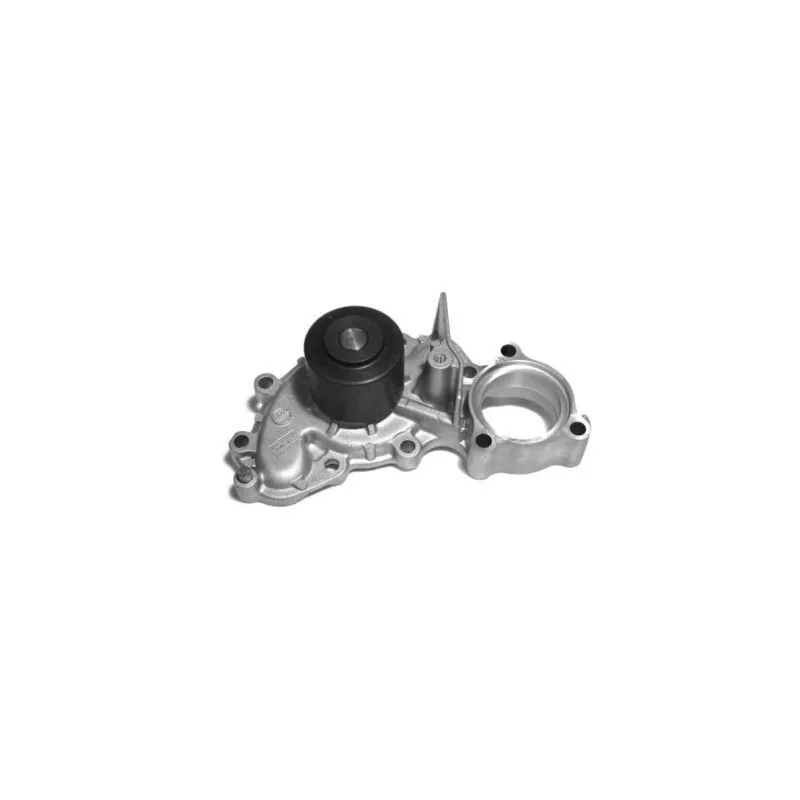 Pompe à eau AISIN WPT-163V