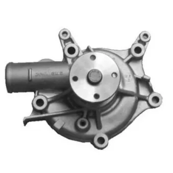 Pompe à eau AISIN WY-001