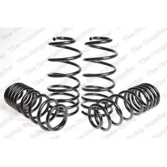 Jeu de suspensions, ressorts LESJOFORS 4504223