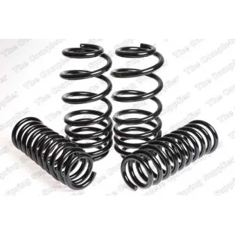 Jeu de suspensions, ressorts LESJOFORS 4504229