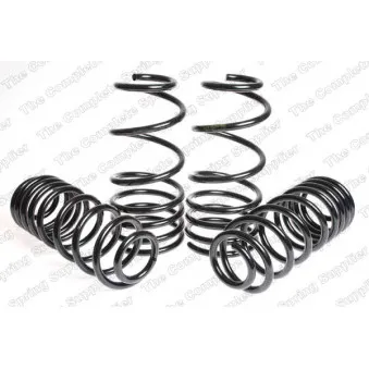 Jeu de suspensions, ressorts LESJOFORS 4504253