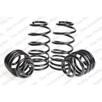 Jeu de suspensions, ressorts LESJOFORS 4504258