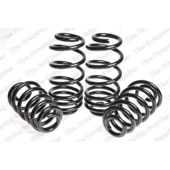 Jeu de suspensions, ressorts LESJOFORS 4504260