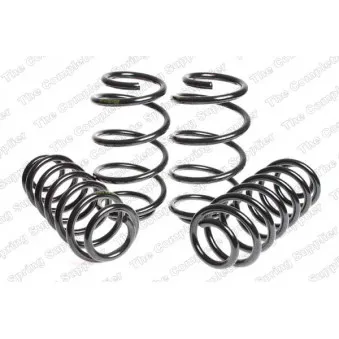 Jeu de suspensions, ressorts LESJOFORS 4504279