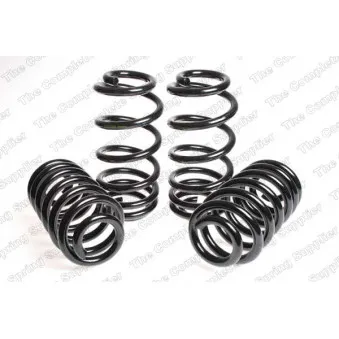 Jeu de suspensions, ressorts LESJOFORS 4504282