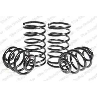 Jeu de suspensions, ressorts LESJOFORS 4508404