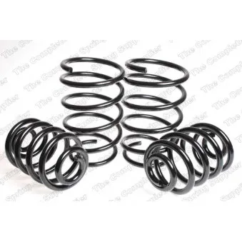 Jeu de suspensions, ressorts LESJOFORS 4508412