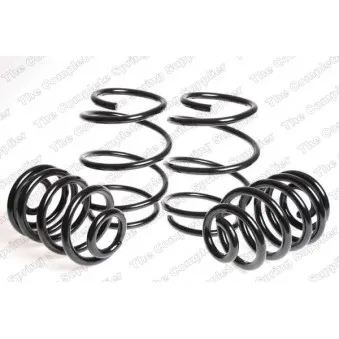 Jeu de suspensions, ressorts LESJOFORS 4508417