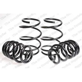Jeu de suspensions, ressorts LESJOFORS 4508443