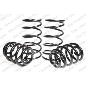 Jeu de suspensions, ressorts LESJOFORS 4508446