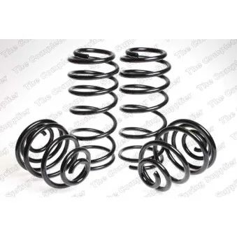 Jeu de suspensions, ressorts LESJOFORS 4517706