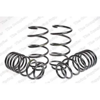 Jeu de suspensions, ressorts LESJOFORS 4526130