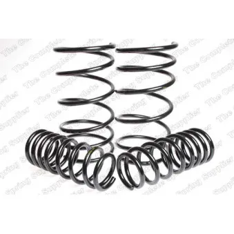 Jeu de suspensions, ressorts LESJOFORS 4535720