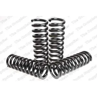 Jeu de suspensions, ressorts LESJOFORS 4556812