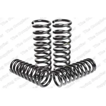 Jeu de suspensions, ressorts LESJOFORS 4556818