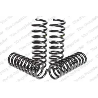 Jeu de suspensions, ressorts LESJOFORS 4556822