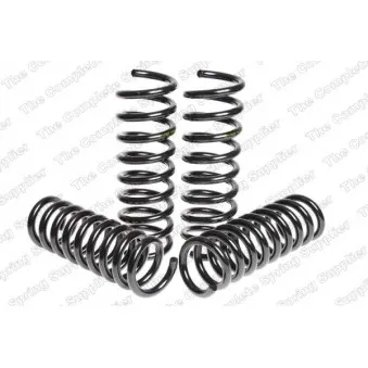 Jeu de suspensions, ressorts LESJOFORS 4556830