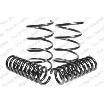 Jeu de suspensions, ressorts LESJOFORS 4556840