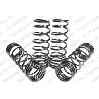 Jeu de suspensions, ressorts LESJOFORS