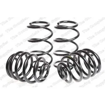 Jeu de suspensions, ressorts LESJOFORS 4563403