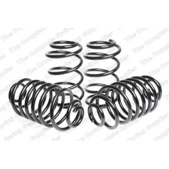 Jeu de suspensions, ressorts LESJOFORS 4563406