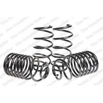 Jeu de suspensions, ressorts LESJOFORS 4563459